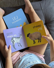 Load image into Gallery viewer, Board Book Bundle